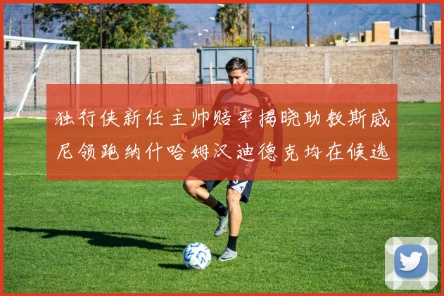 独行侠新任主帅赔率揭晓助教斯威尼领跑纳什哈姆汉迪德克均在候选之中