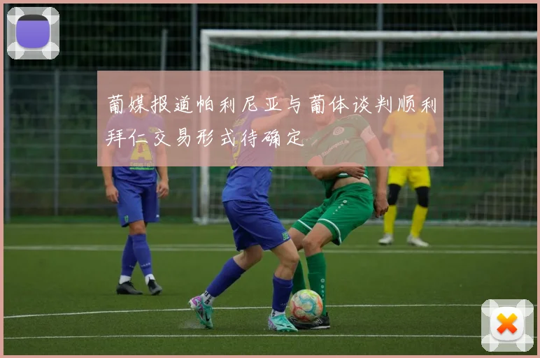 葡媒报道帕利尼亚与葡体谈判顺利拜仁交易形式待确定